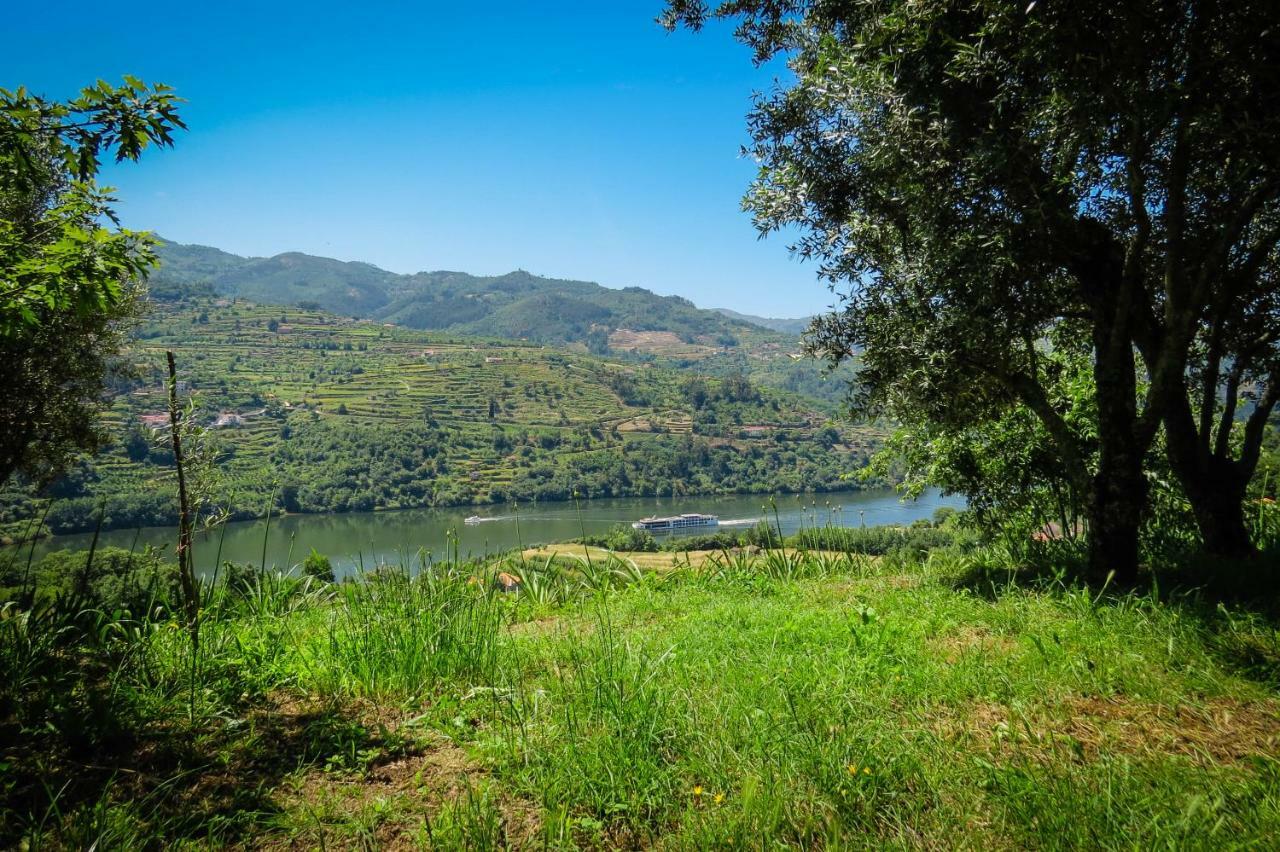 Casa Da Mouta - Douro Valley Байан Екстер'єр фото