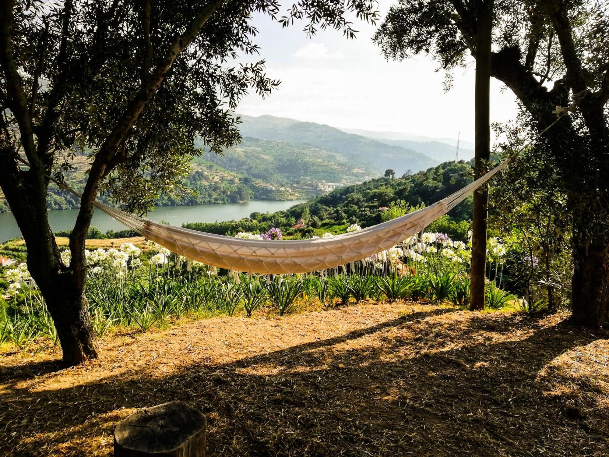 Casa Da Mouta - Douro Valley Байан Екстер'єр фото
