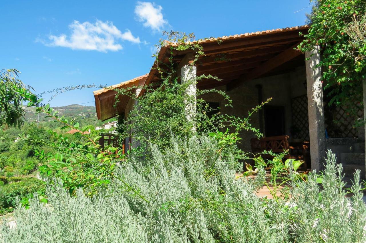 Casa Da Mouta - Douro Valley Байан Екстер'єр фото
